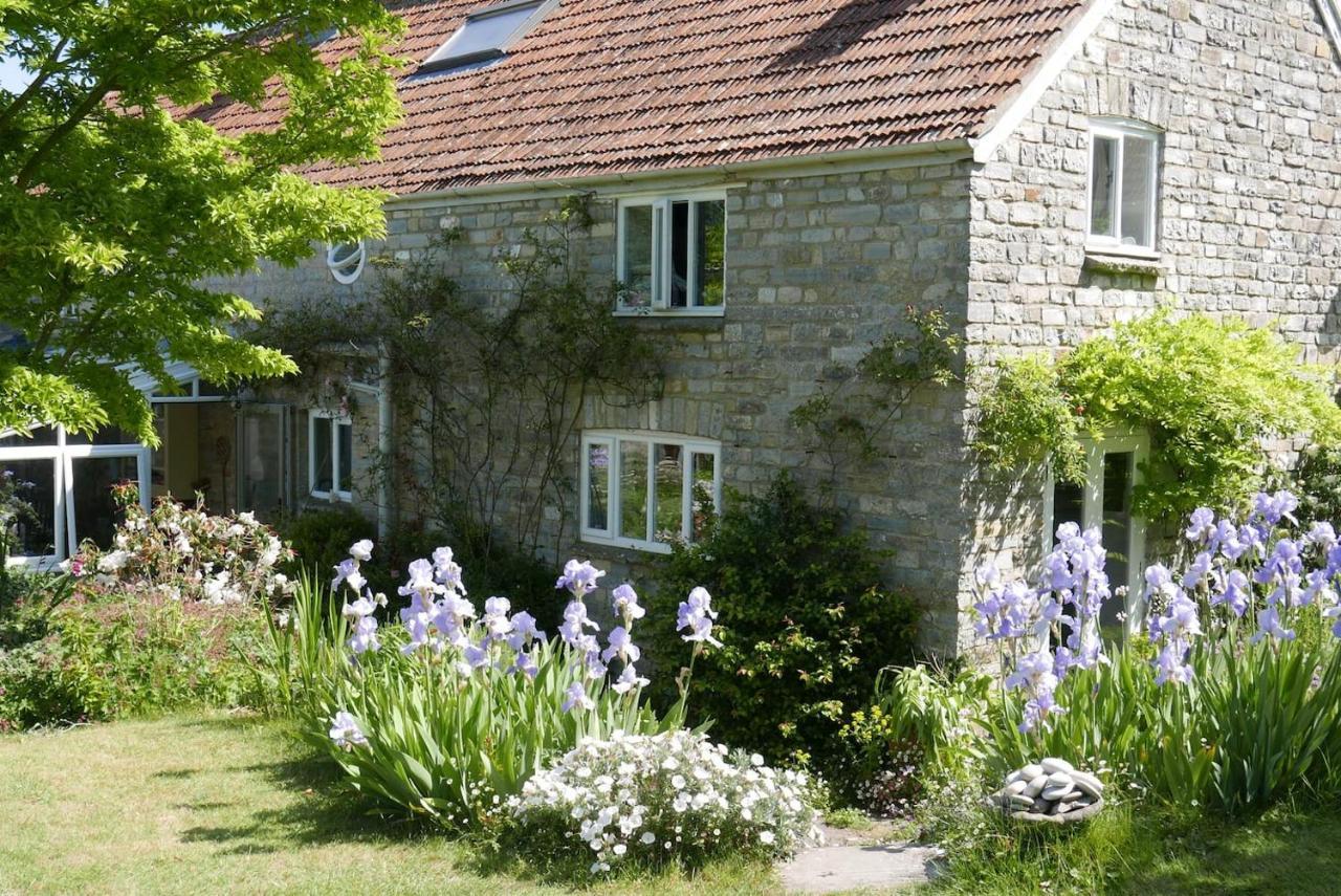 The Potting Shed, Self Contained, Detached Retreat In Shapwick Village Exterior foto